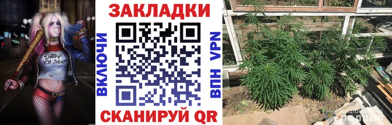 Купить наркотики сайты Кинешма APVP  COCAIN  Меф  Амфетамин  Гашиш  МАРИХУАНА 
