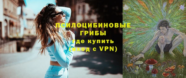 spice Алексин