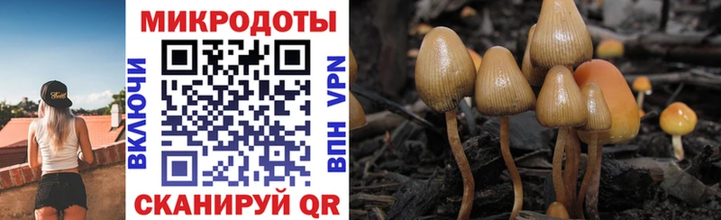 ОМГ ОМГ ONION  Кинешма  Псилоцибиновые грибы ЛСД 